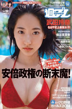 罚罪电视剧免费观看40集全集完整版